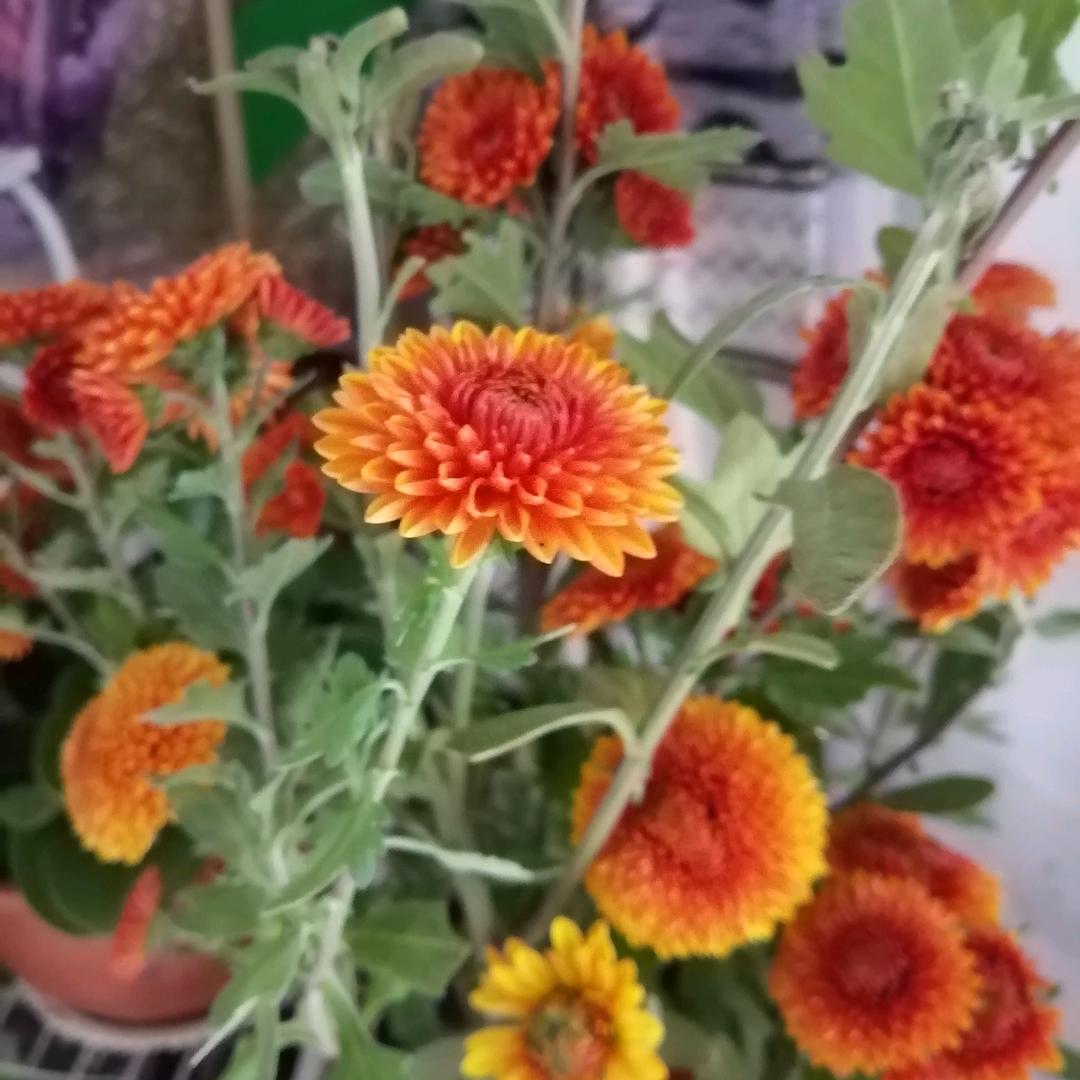 美好时光
