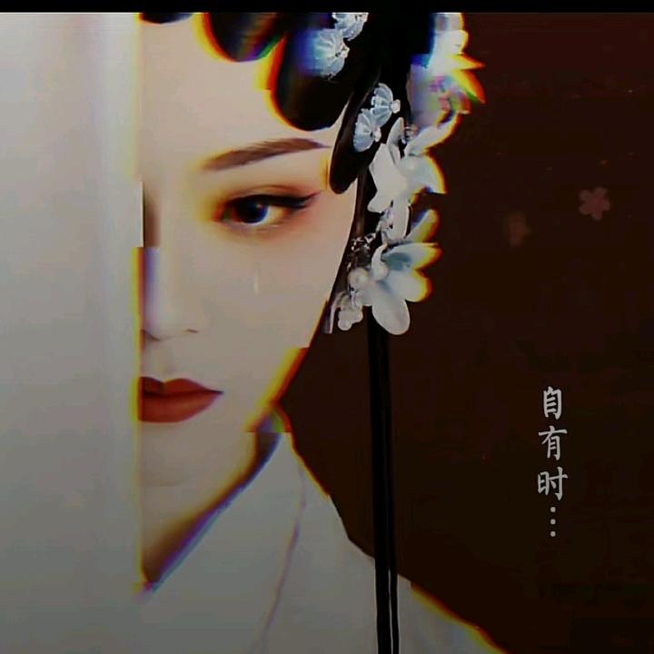 乘风破浪的姐姐