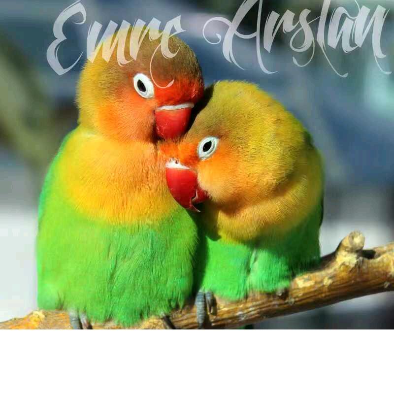 姐的温柔你不懂