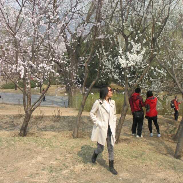 徐放