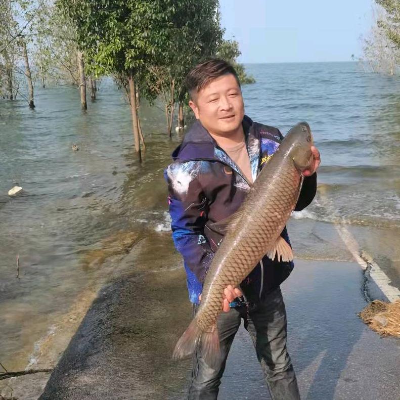 黄上黄