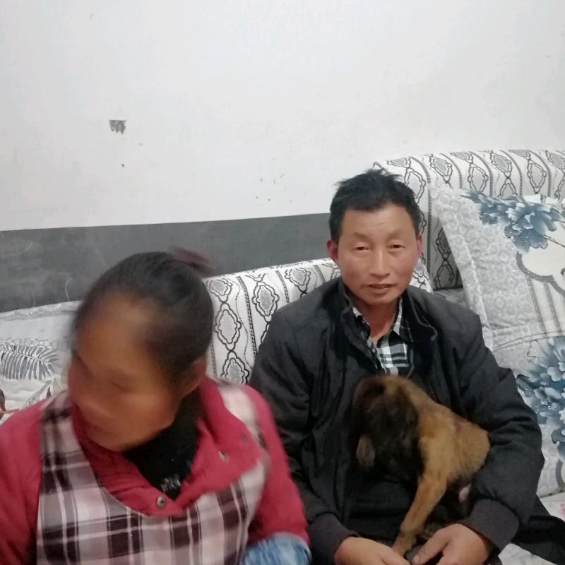 货物运输