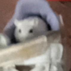 好好