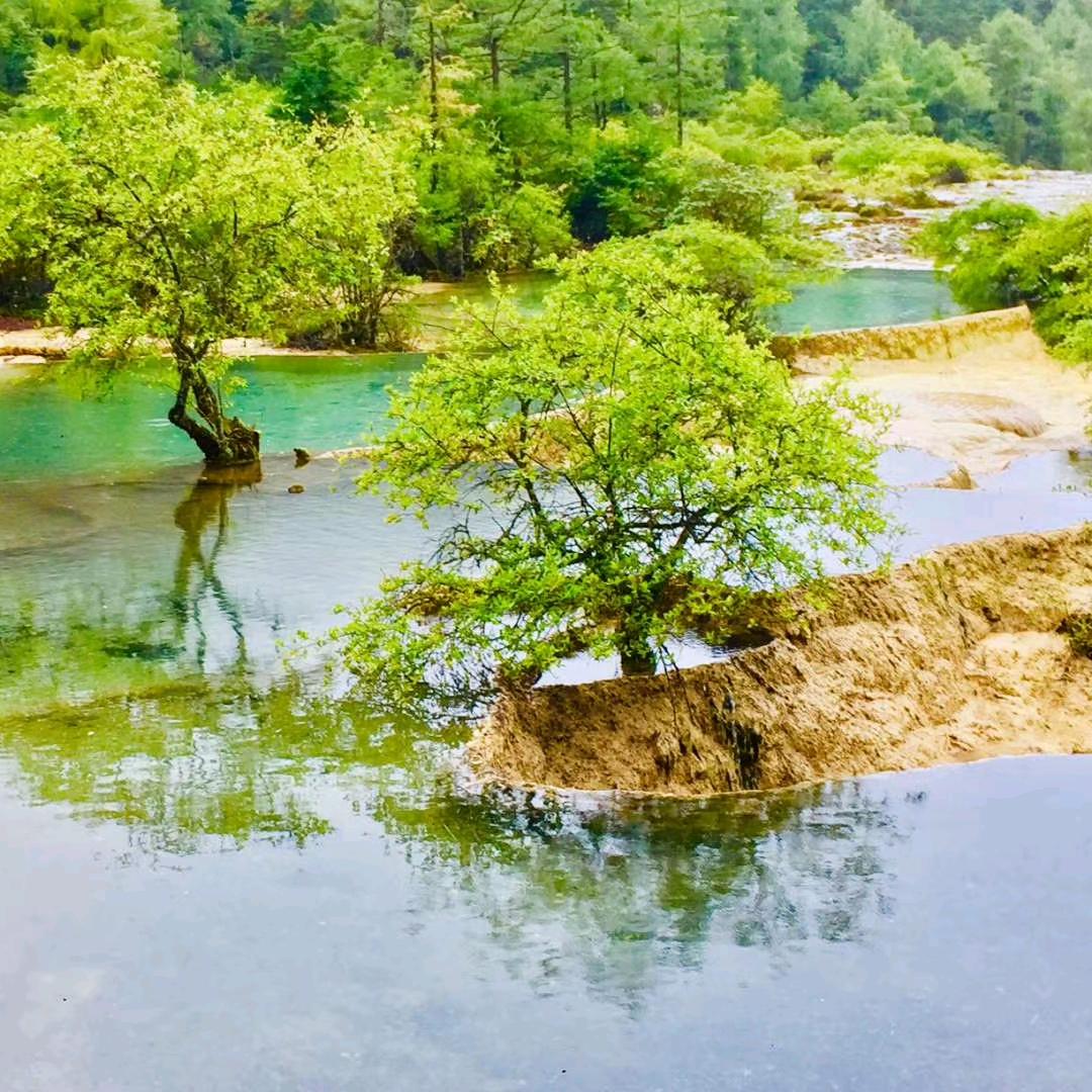张同学@