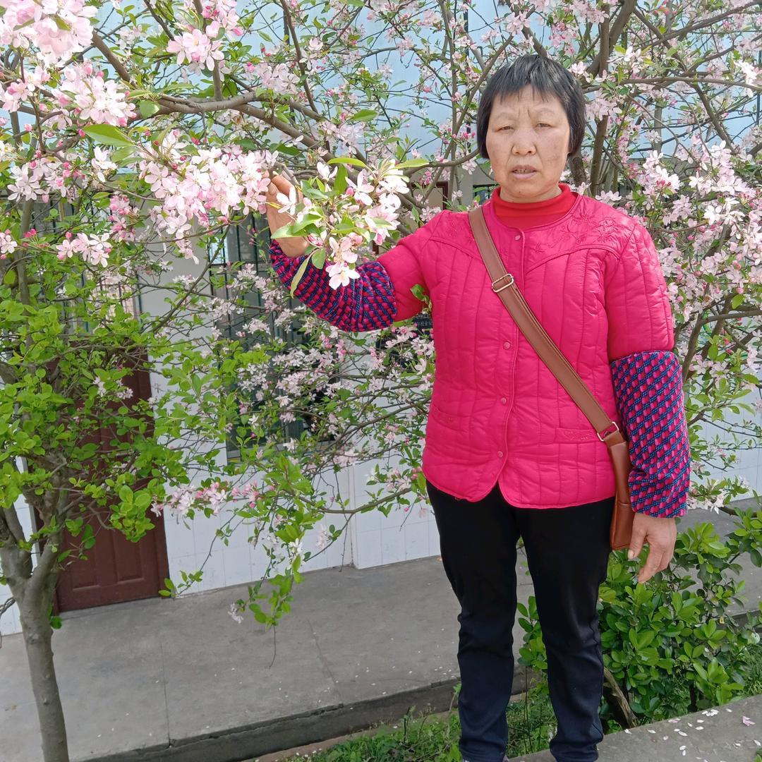 龚大姐
