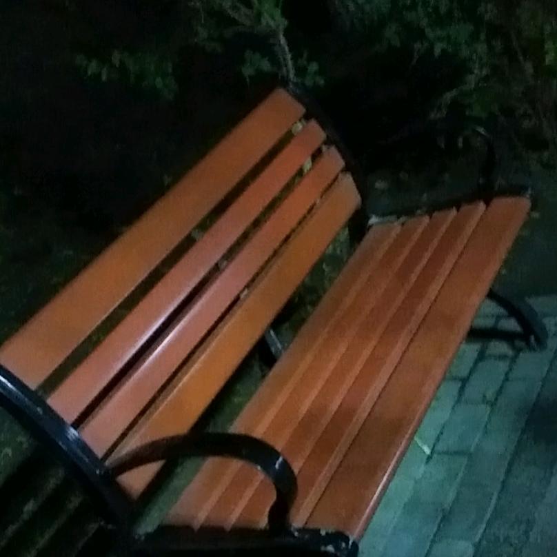 我的名字
