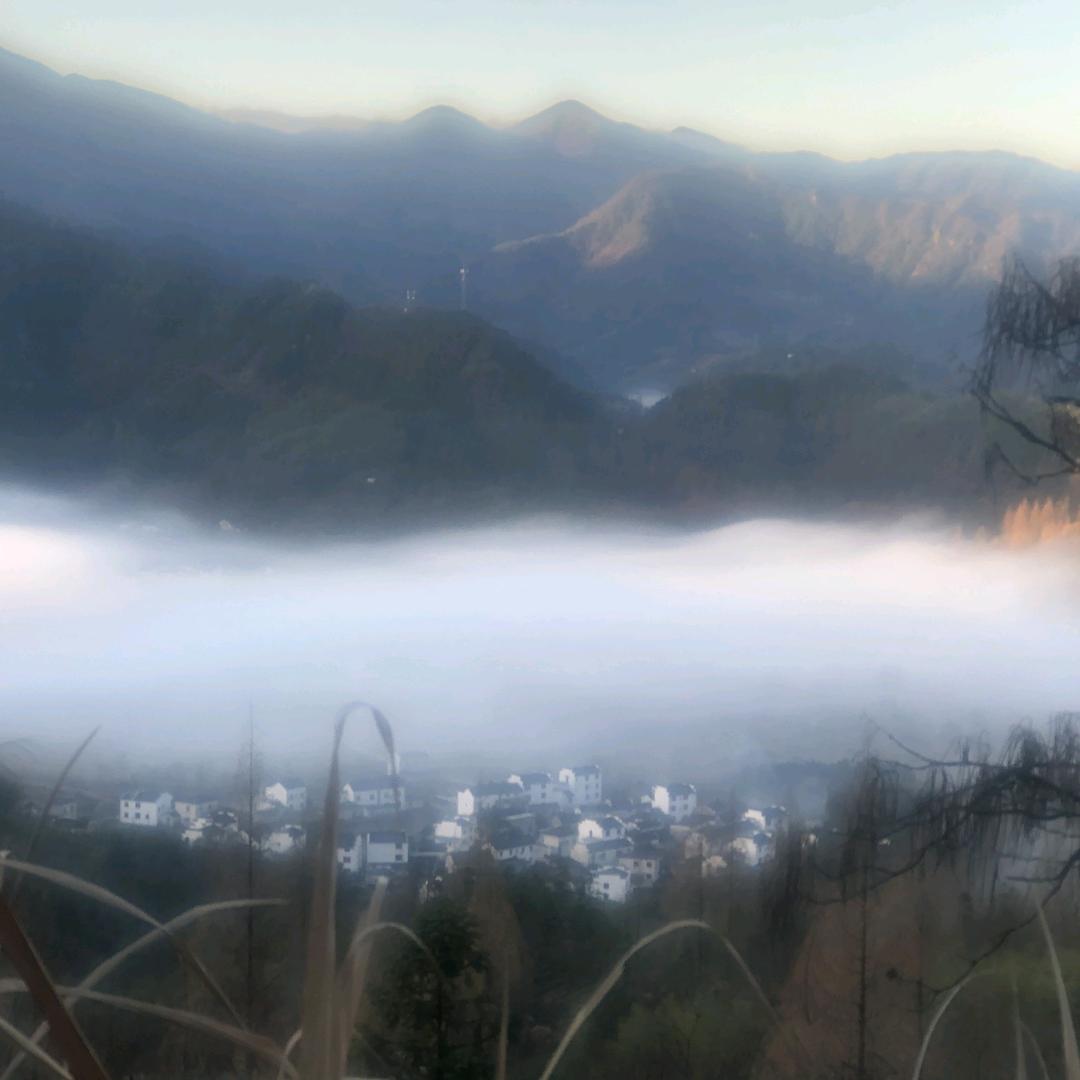 小马哥