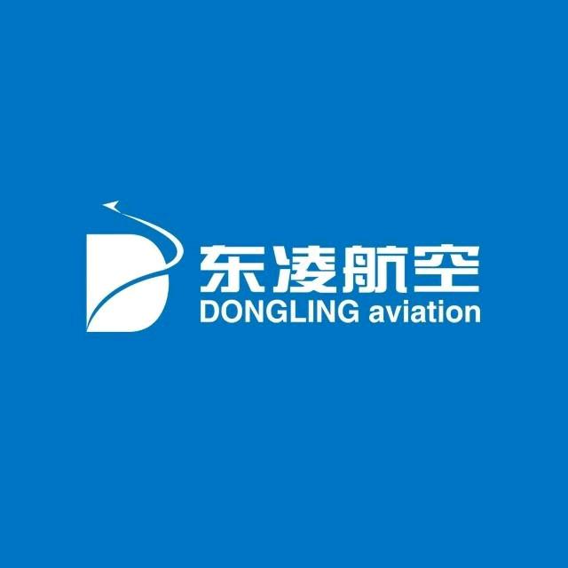 安徽东凌航空