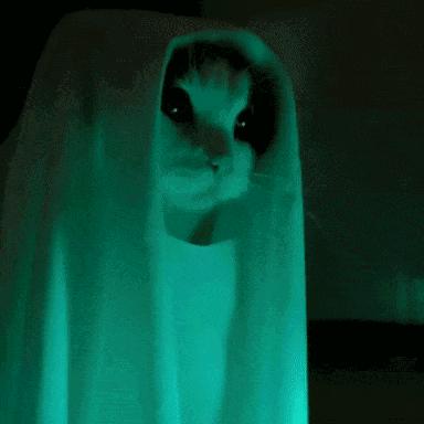 家人平安 亿万大户 爱情美满