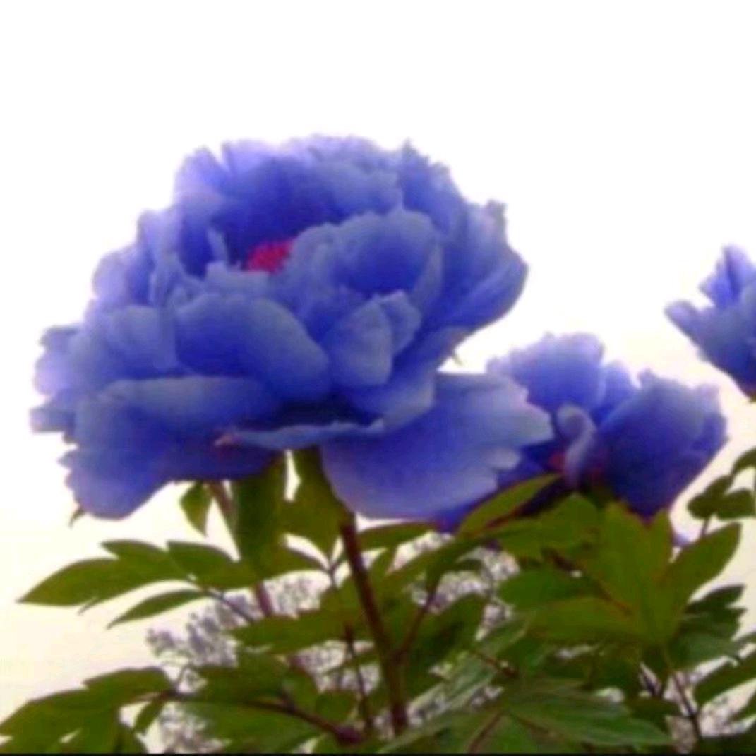 雨过天晴