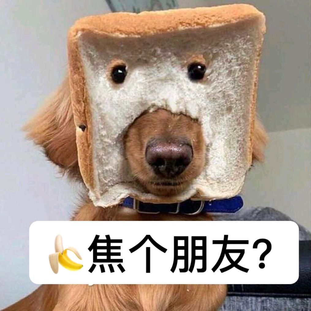 爆笑趣味君@抖音