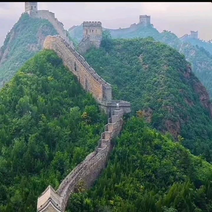 承诺