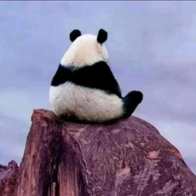 爱穿红衣裳的眼哥