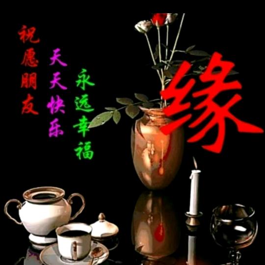 人生就是一场赌注拒绝私聊