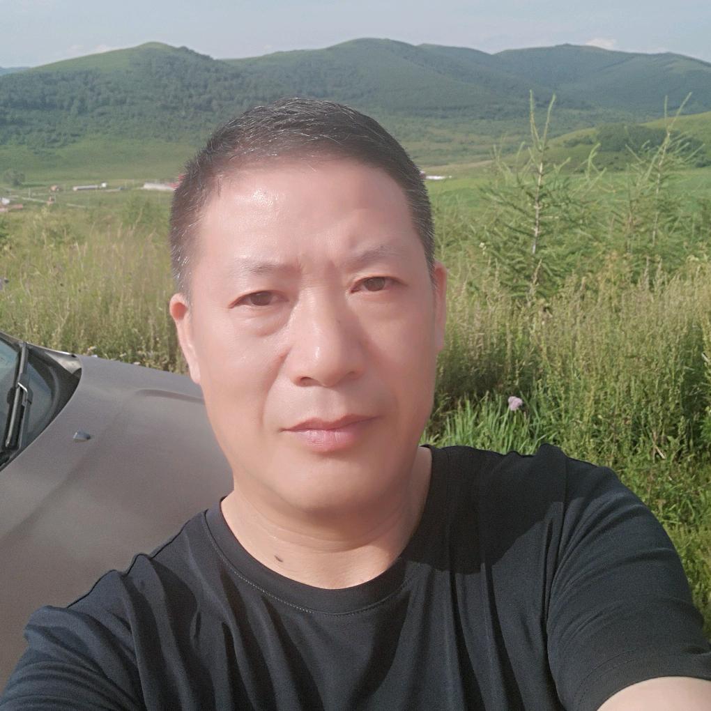 茗寨茶茶叶