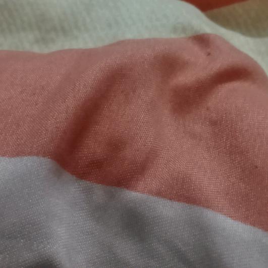 沈碟