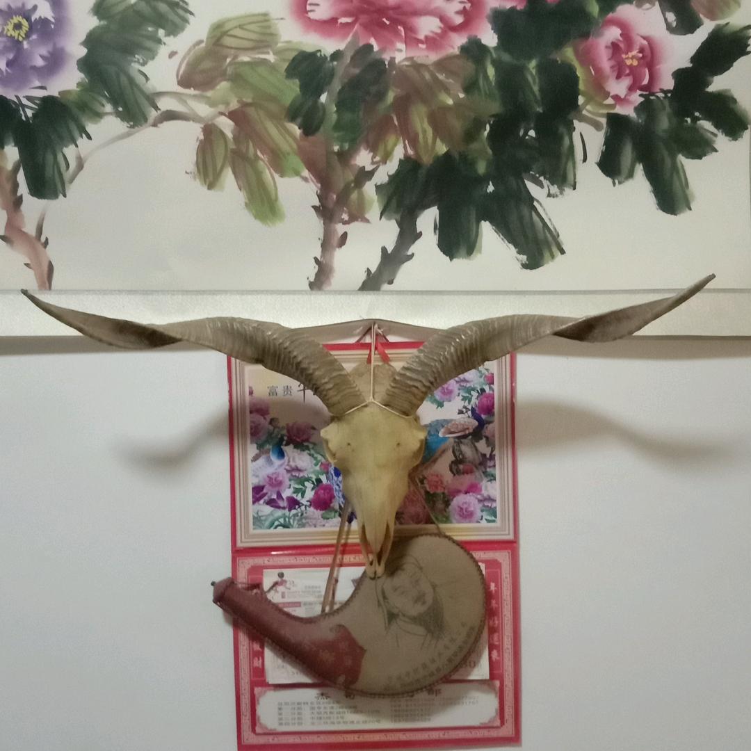 王