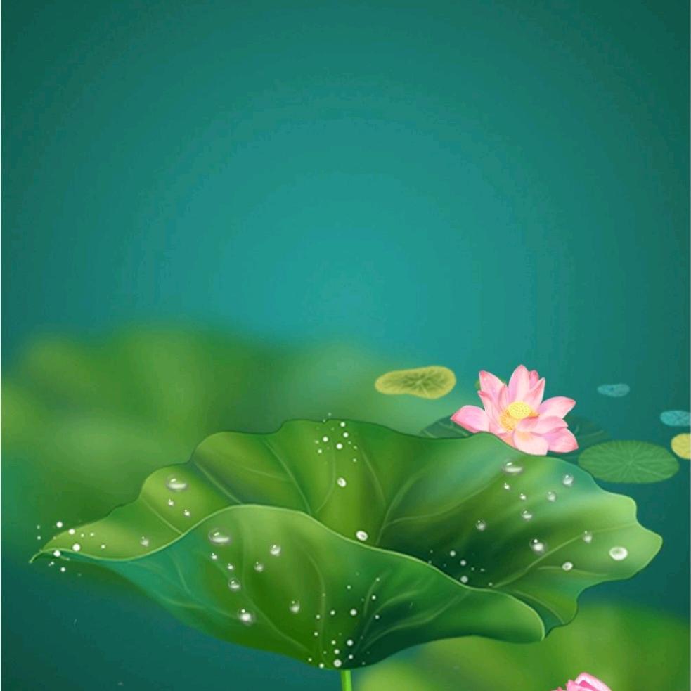 相逢何必曾相识