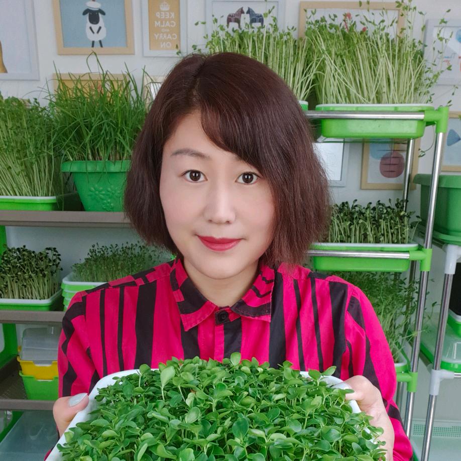 爱家菜园
