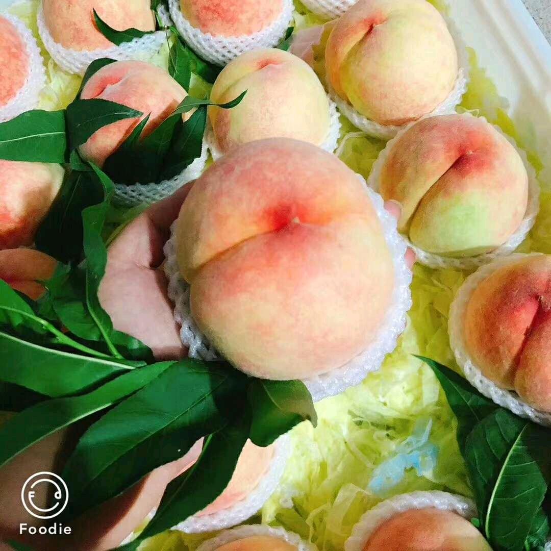 蜜桃缘：阳山水蜜桃