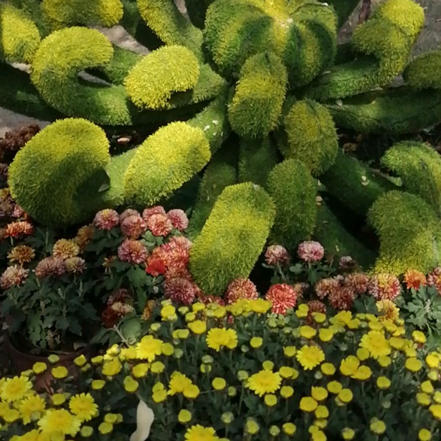 快乐生活( ｡• 👅 •｡｀)