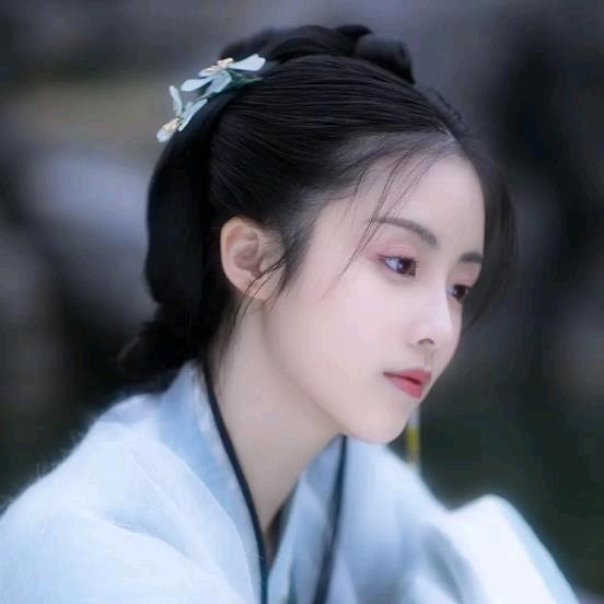 是王朝花🌸