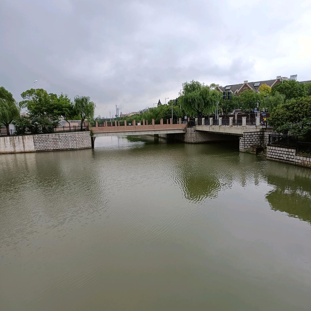 莫跳莫闹