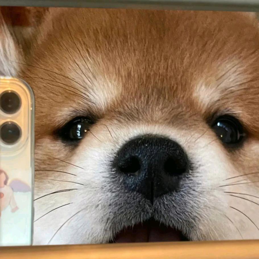 对方正在输入...