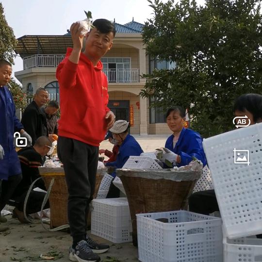 楠总（不难）专业全屋定制安装