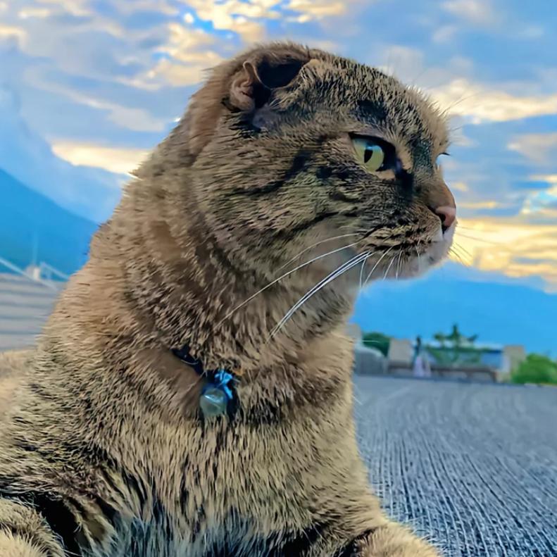 你猜？