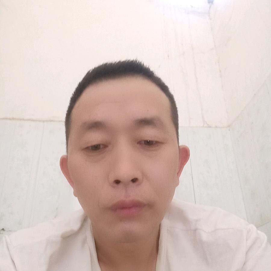 似😔懂🌲非😔董