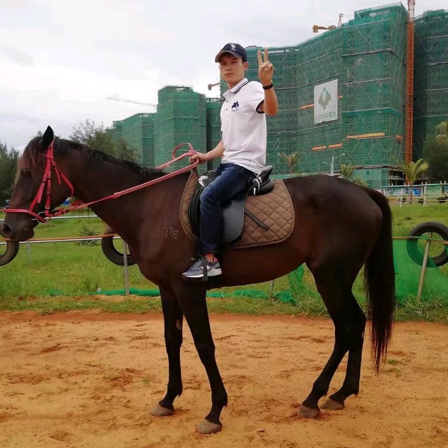 《馬到成功》