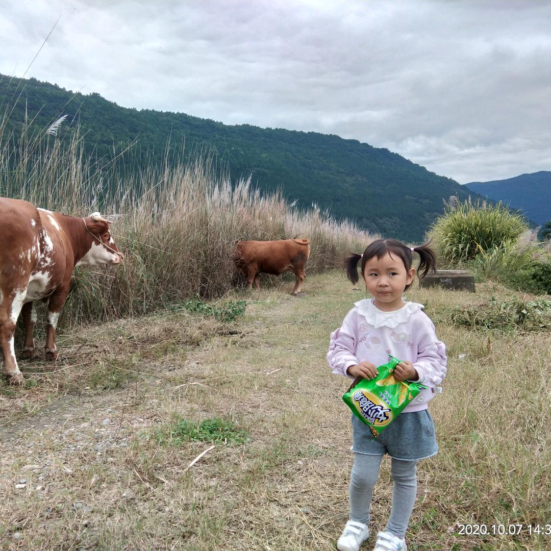 迎着阳光一直跑
