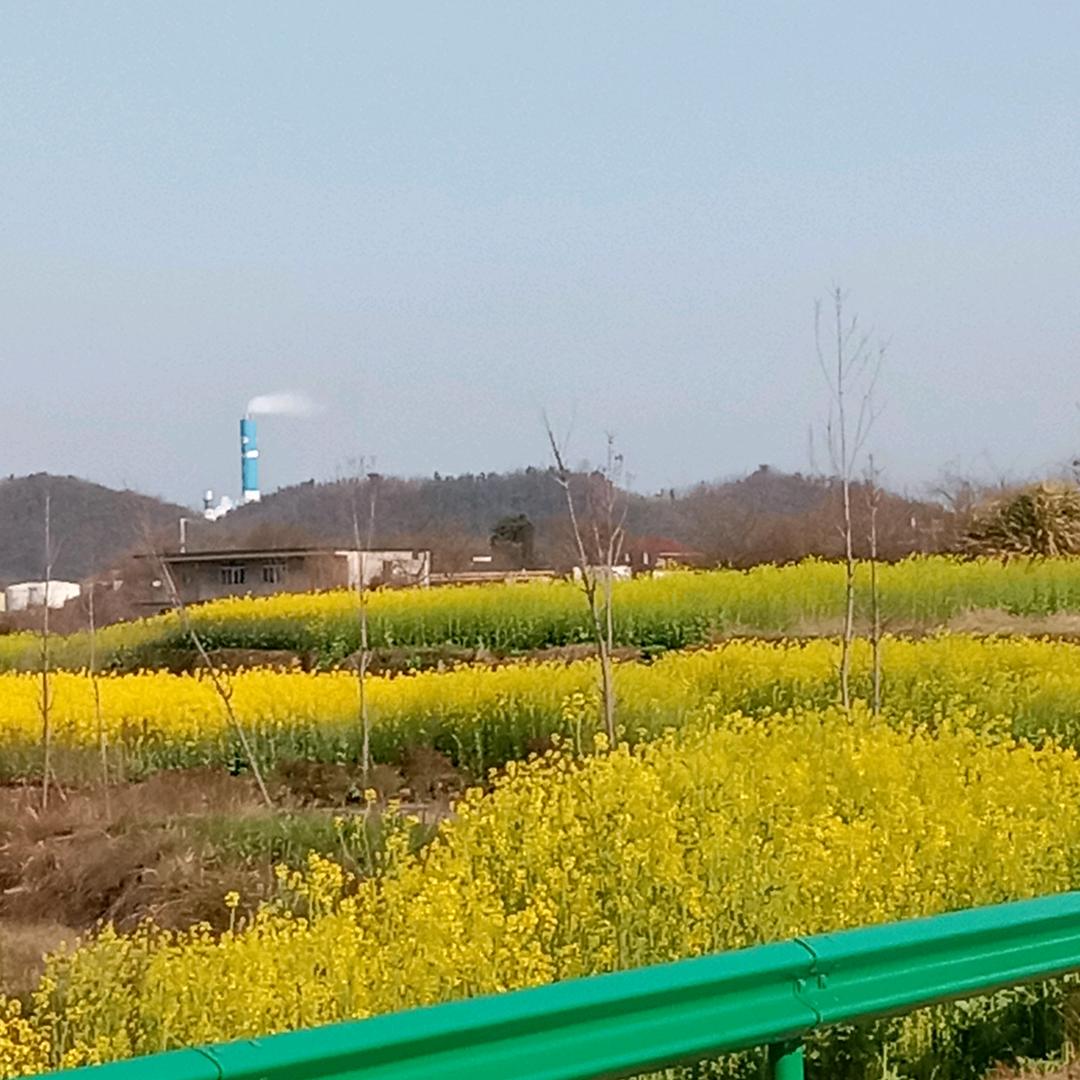 👣温暖的火苗👣