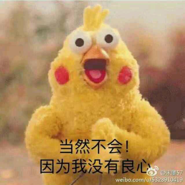 你的良心不会痛吗