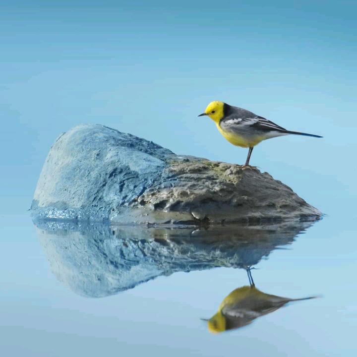 龙仔