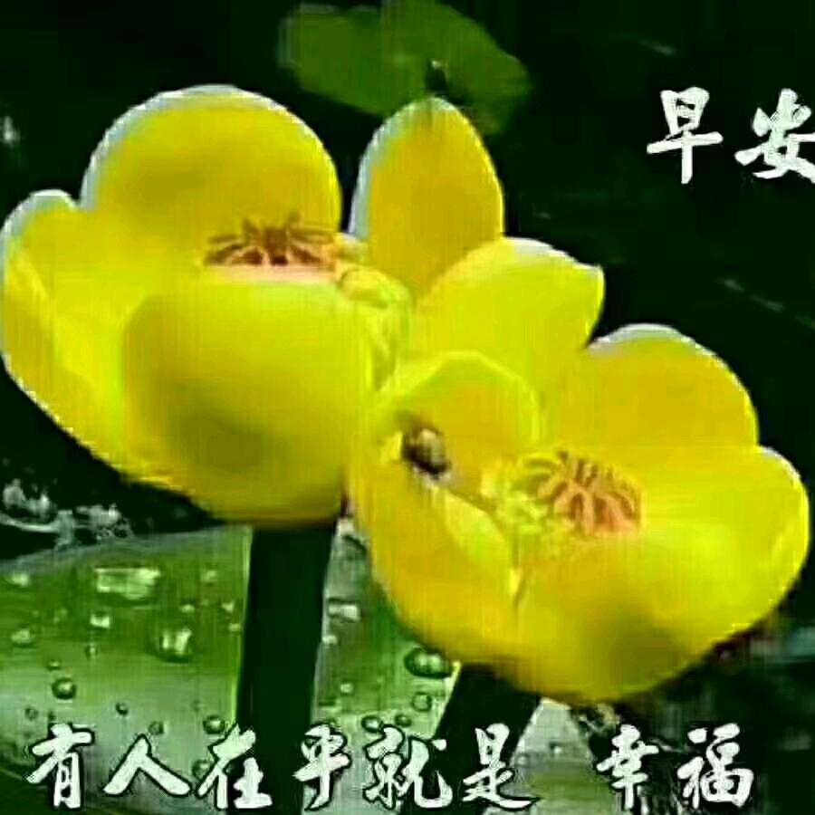 打工人生