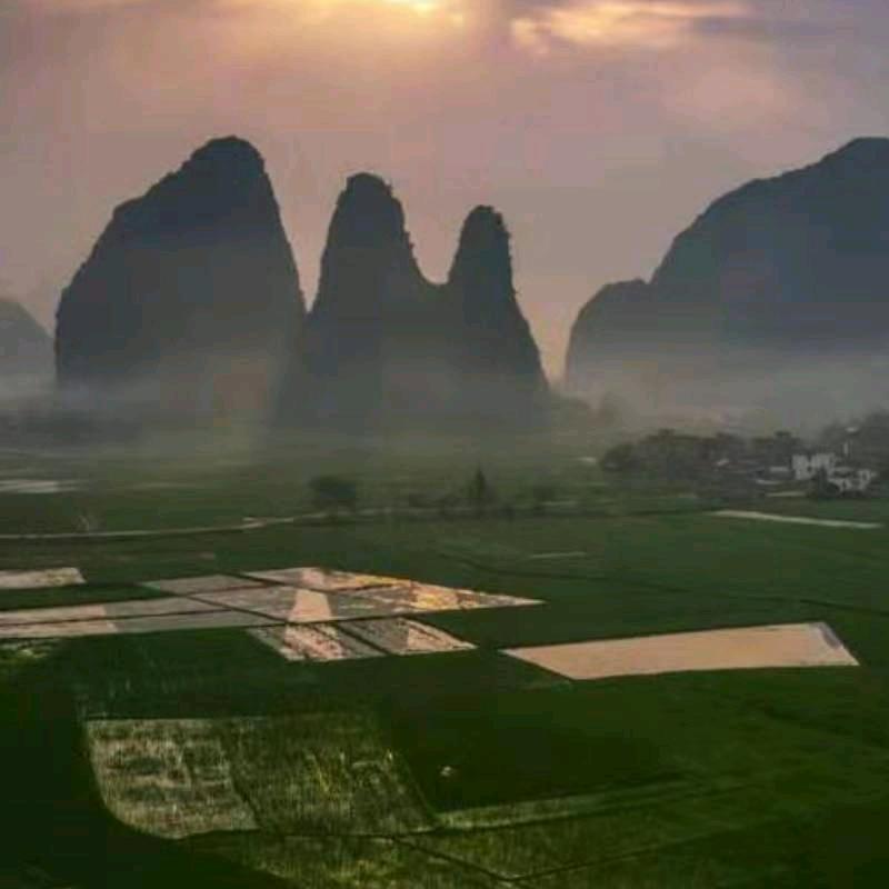 美的厨房电器
