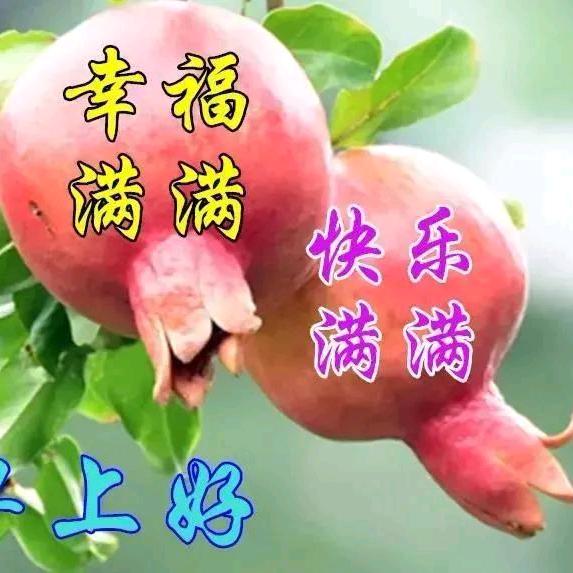 梦想成真