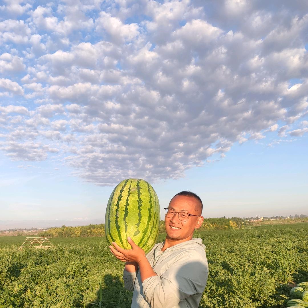 A小宾专业新疆西瓜水果代办