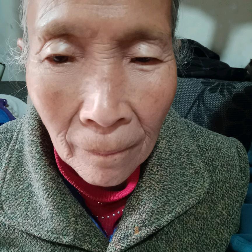普光凤