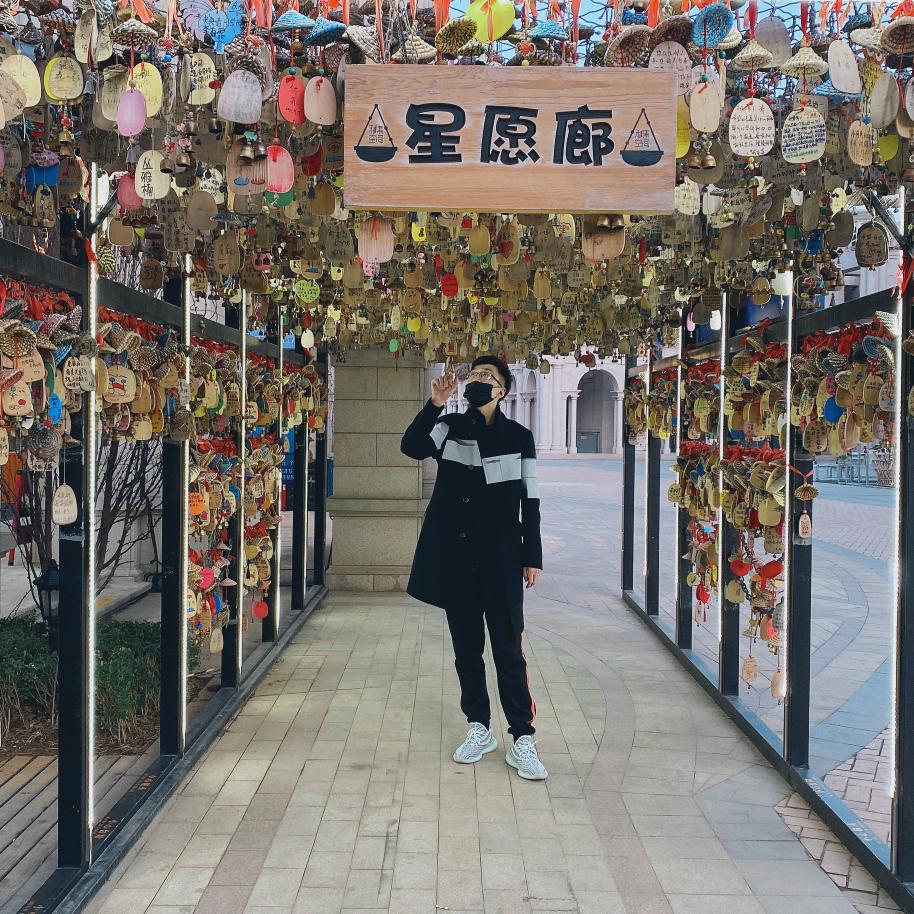 人生得意须尽欢