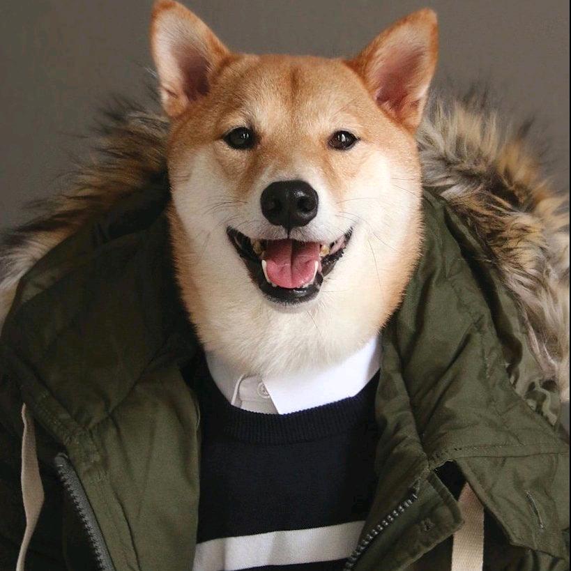 明天开始学习