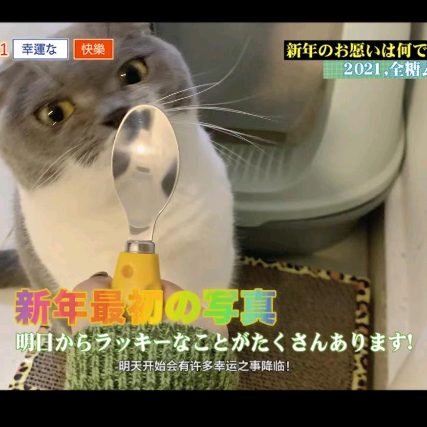 梅（勿连赞））