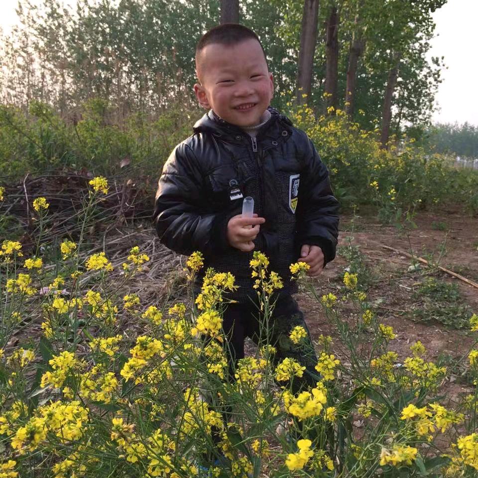 秋风落叶