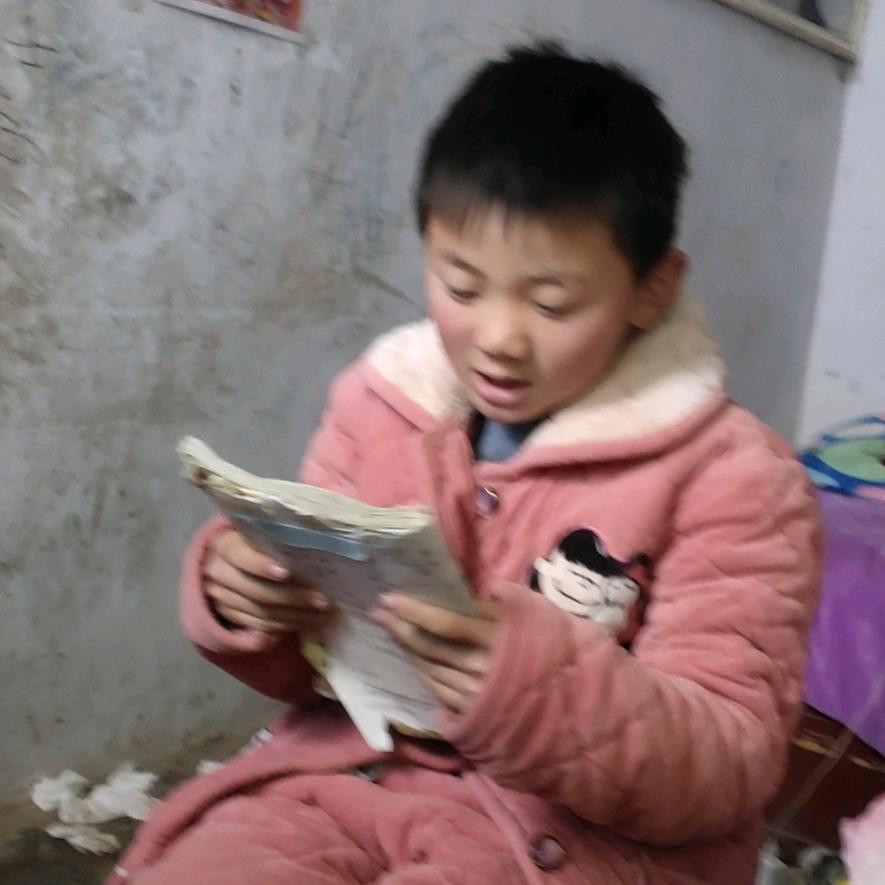 长青树