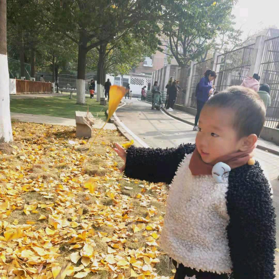 一介俗人   怎能渡劫