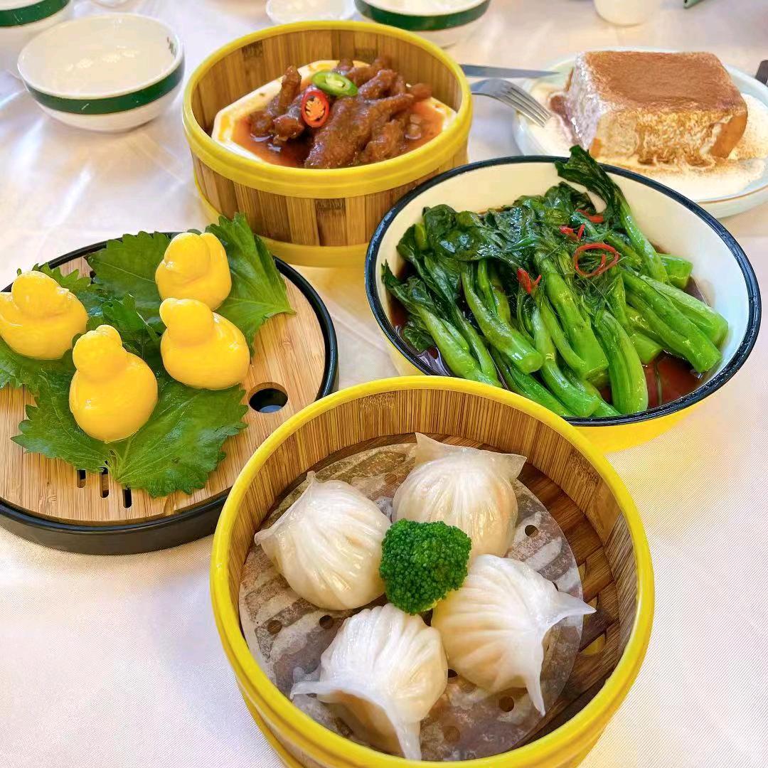 漂洋过海的猫🐱