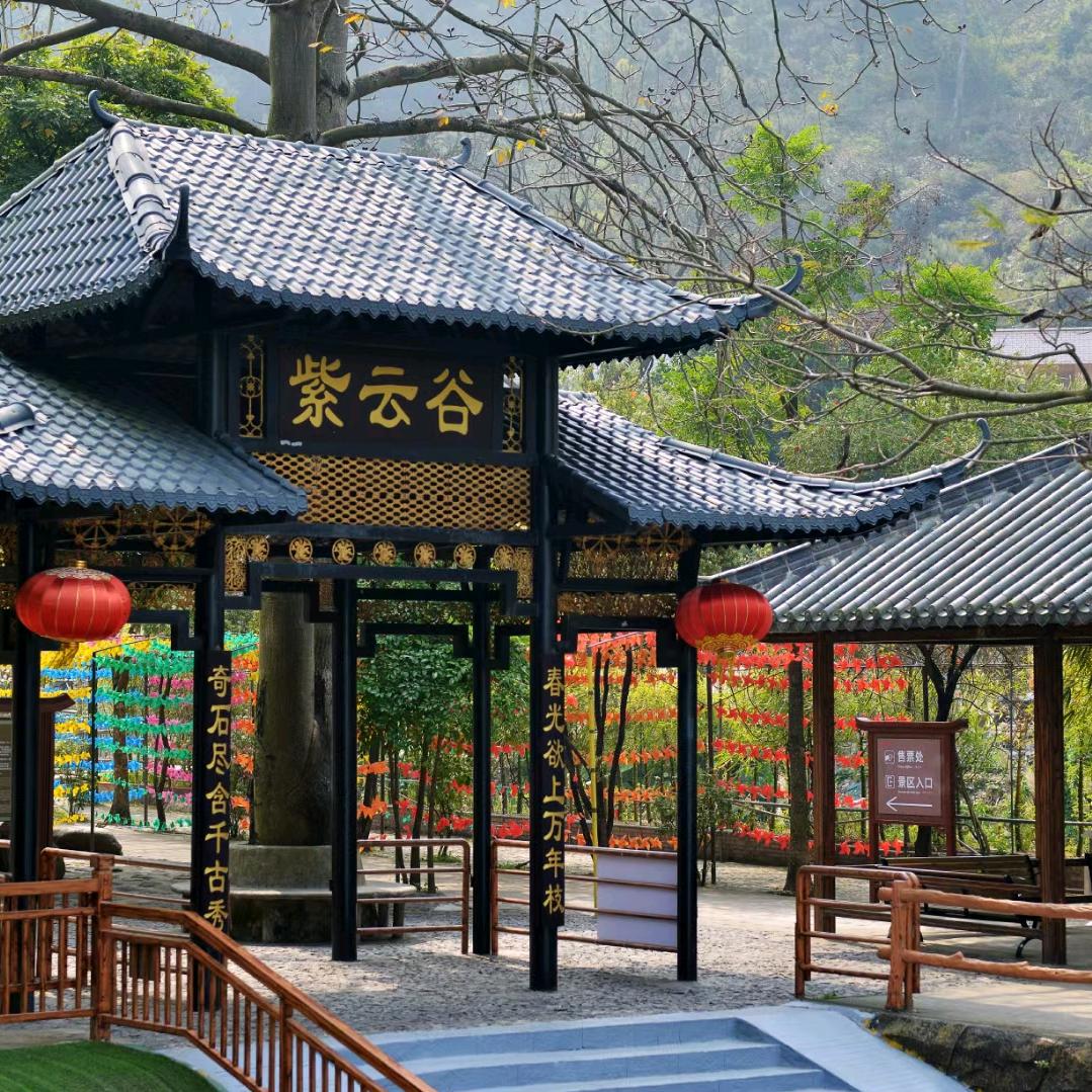 老陈🇨🇳肇庆紫云谷景区