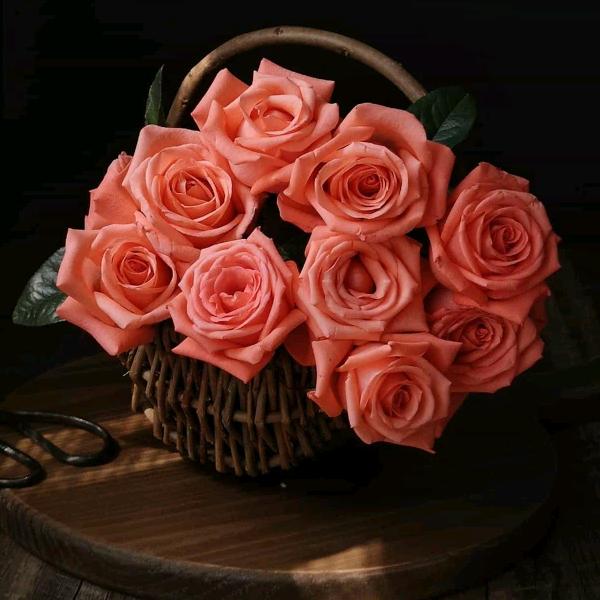 淮南地下商业街安踏